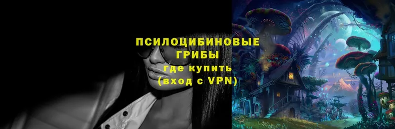 Псилоцибиновые грибы Magic Shrooms  Нефтекамск 